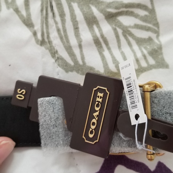 Coach belt main image 3